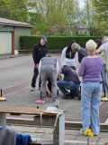 IMG-20250413-WA0021